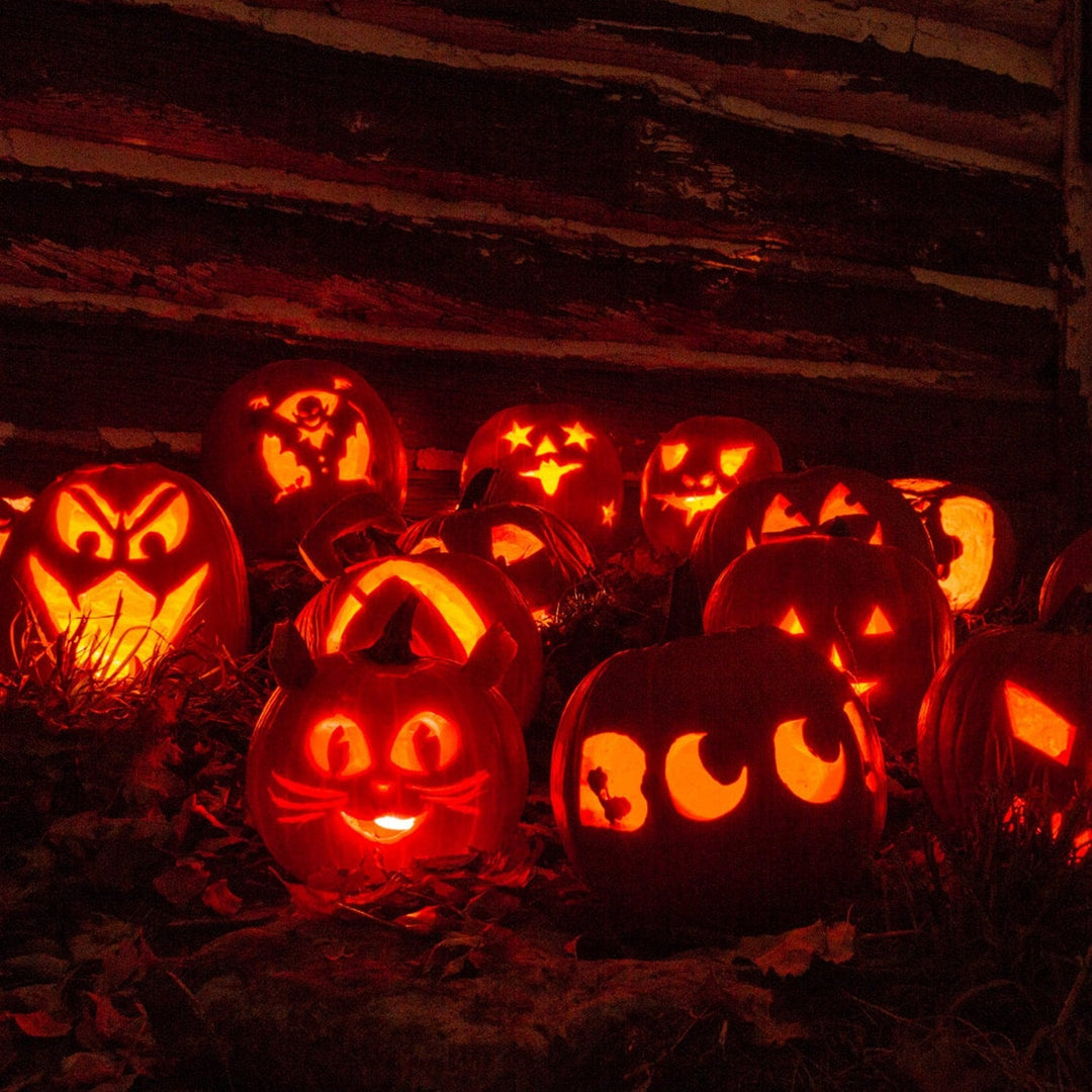 Halloween pompoen-uitsnijset en gereedschap met roestvrijstalen zagen en beeldhouwgereedschap