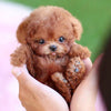 Realistische pluche hond knuffel voor kinderen met zachte krullende vacht en levensechte details, wandelend