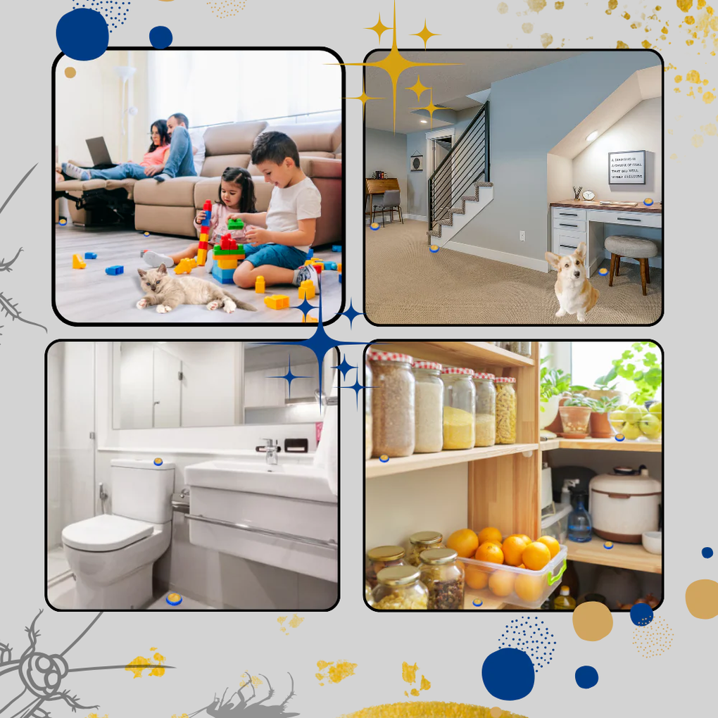 Geurloze kakkerlakkenvallen - discrete oplossing voor ongediertebestrijding