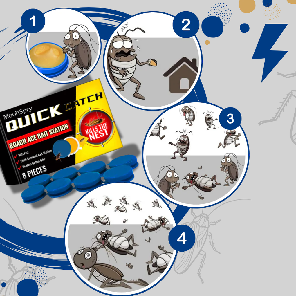 Geurloze kakkerlakkenvallen - discrete oplossing voor ongediertebestrijding