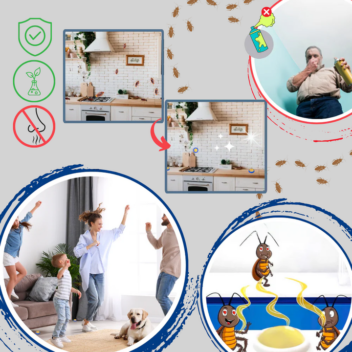 Geurloze kakkerlakkenvallen - discrete oplossing voor ongediertebestrijding