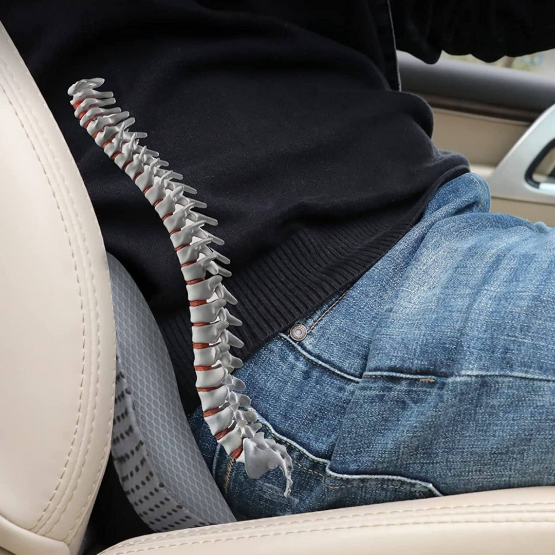 Pro-versie Verhogingskussen voor Autostoel voor Meer Rijcomfort