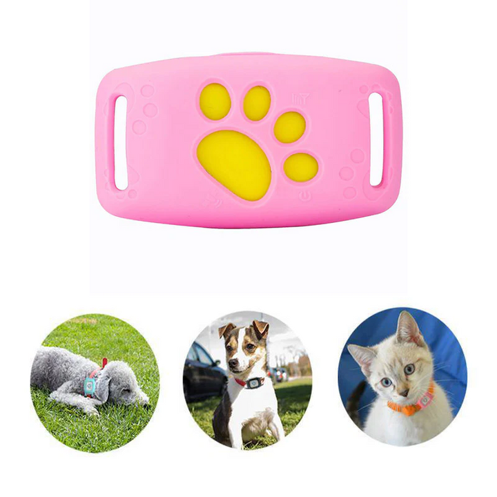 PetSafe GPS-halsband voor huisdieren - realtime tracking, waterdicht en zonder abonnement