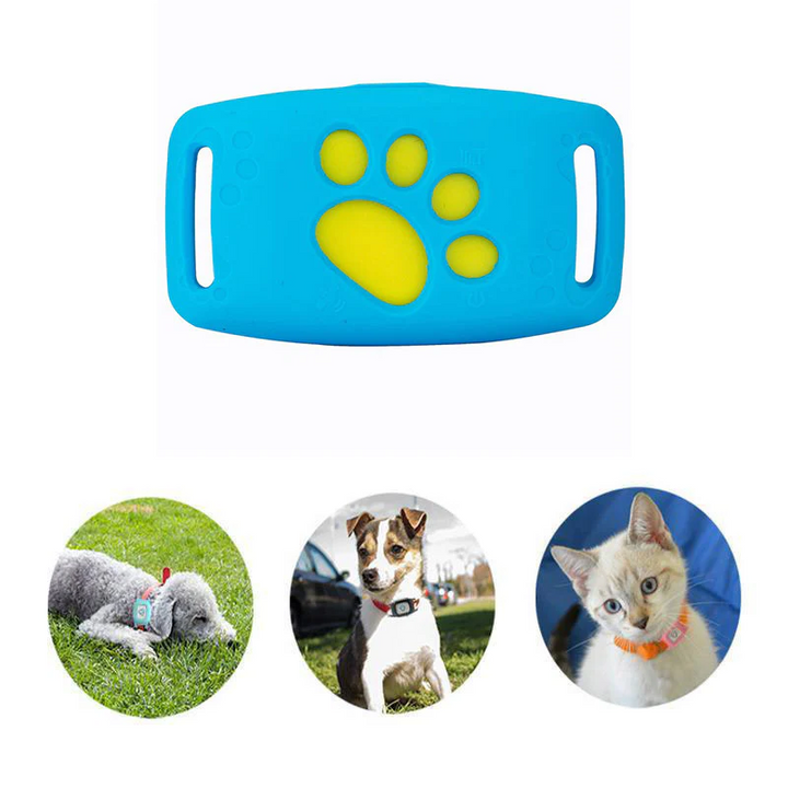 PetSafe GPS-halsband voor huisdieren - realtime tracking, waterdicht en zonder abonnement