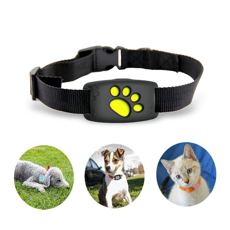 PetSafe GPS-halsband voor huisdieren - realtime tracking, waterdicht en zonder abonnement