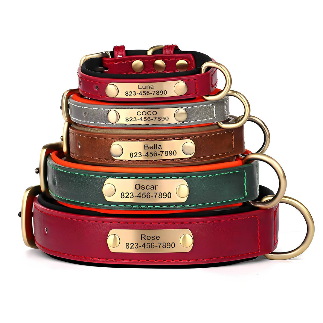 Gegraveerde leren hondenhalsband met gepersonaliseerd naamplaatje