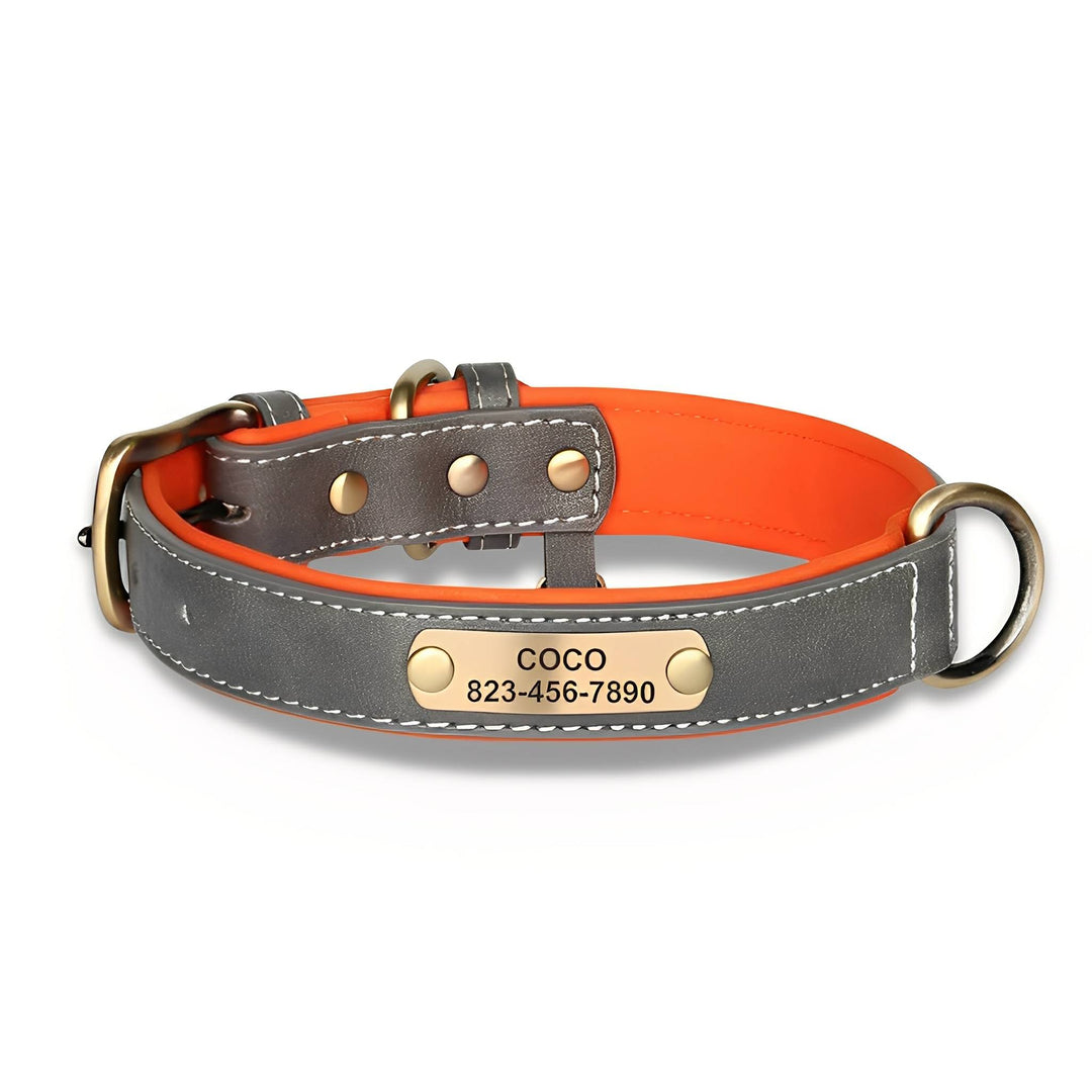 Gegraveerde leren hondenhalsband met gepersonaliseerd naamplaatje