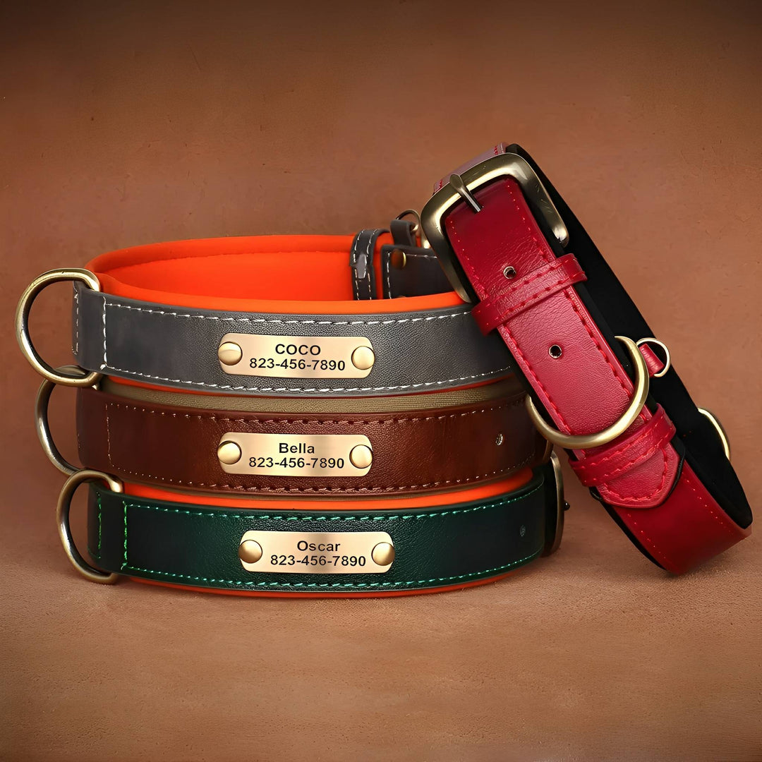 Gegraveerde leren hondenhalsband met gepersonaliseerd naamplaatje