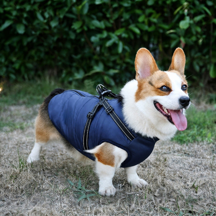 Gewatteerde winterjas voor honden met geïntegreerd tuig