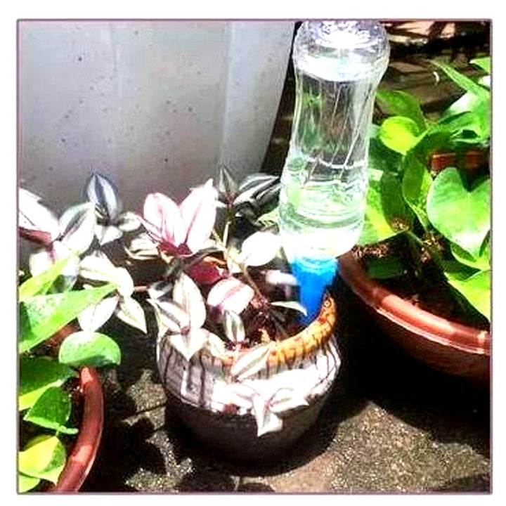 Automatische plantenbewateringspennen (verpakking van 12) – Tuinhulp met instelbare stroming