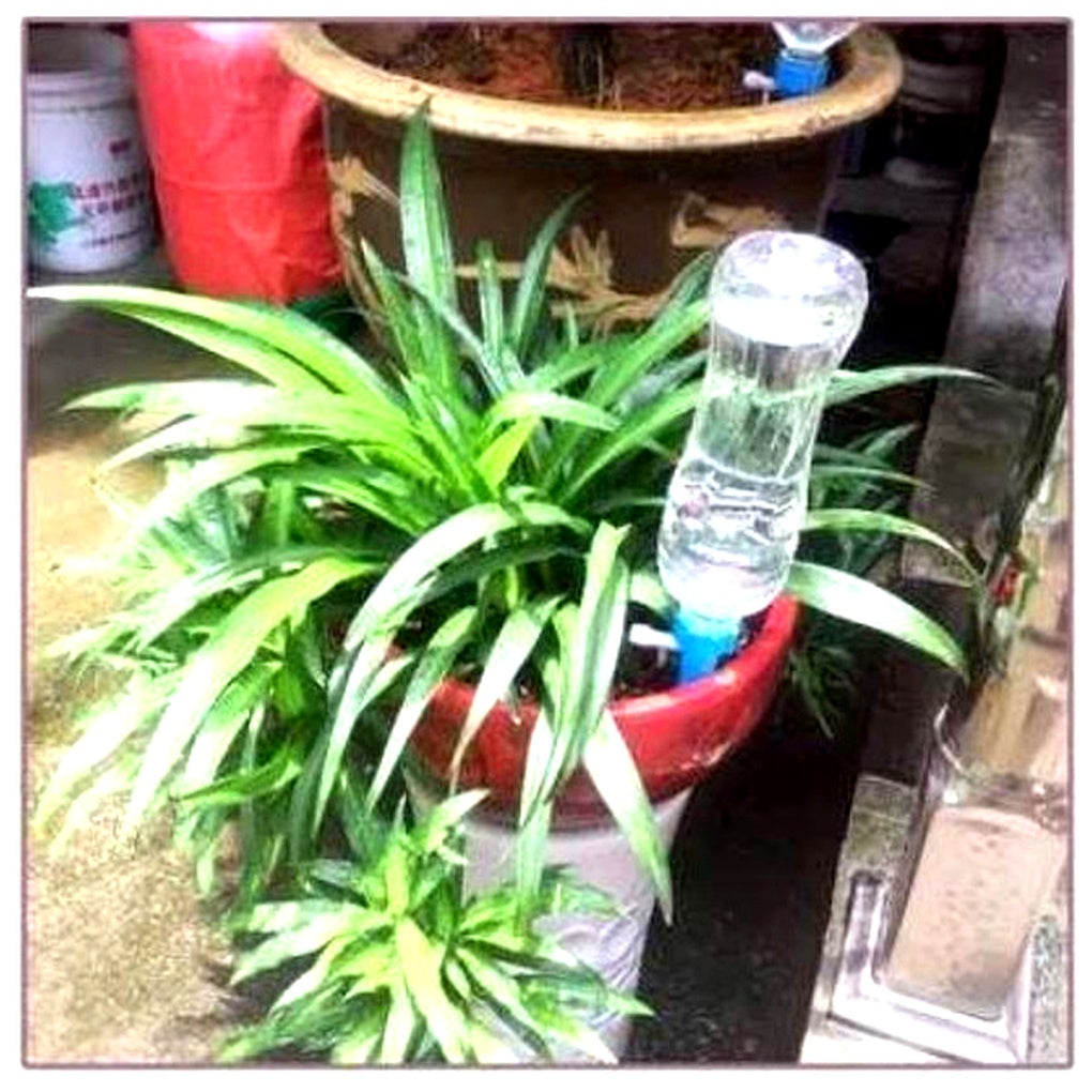 Automatische plantenbewateringspennen (verpakking van 12) – Tuinhulp met instelbare stroming