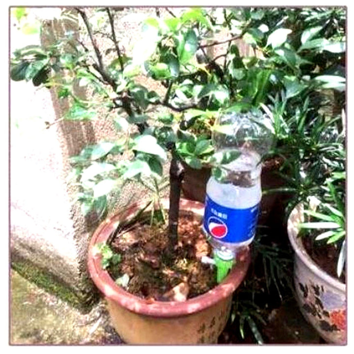 Automatische plantenbewateringspennen (verpakking van 12) – Tuinhulp met instelbare stroming