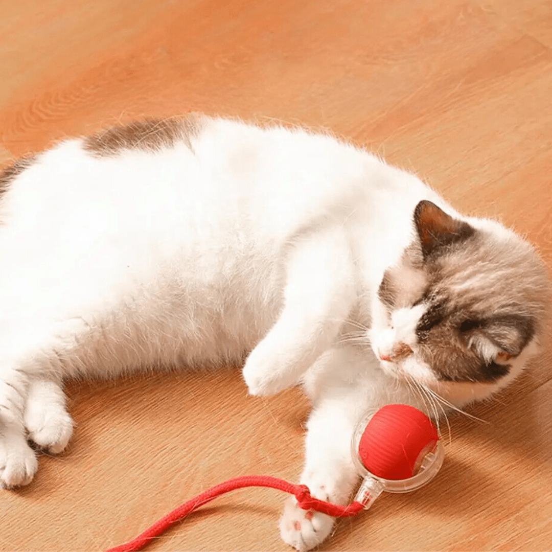 ChaseBall interactief jachtspeelgoed voor honden en katten - LED, USB