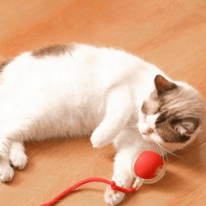 ChaseBall interactief jachtspeelgoed voor honden en katten - LED, USB
