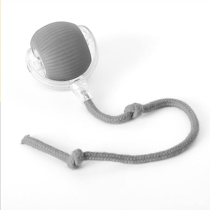 ChaseBall interactief jachtspeelgoed voor honden en katten - LED, USB