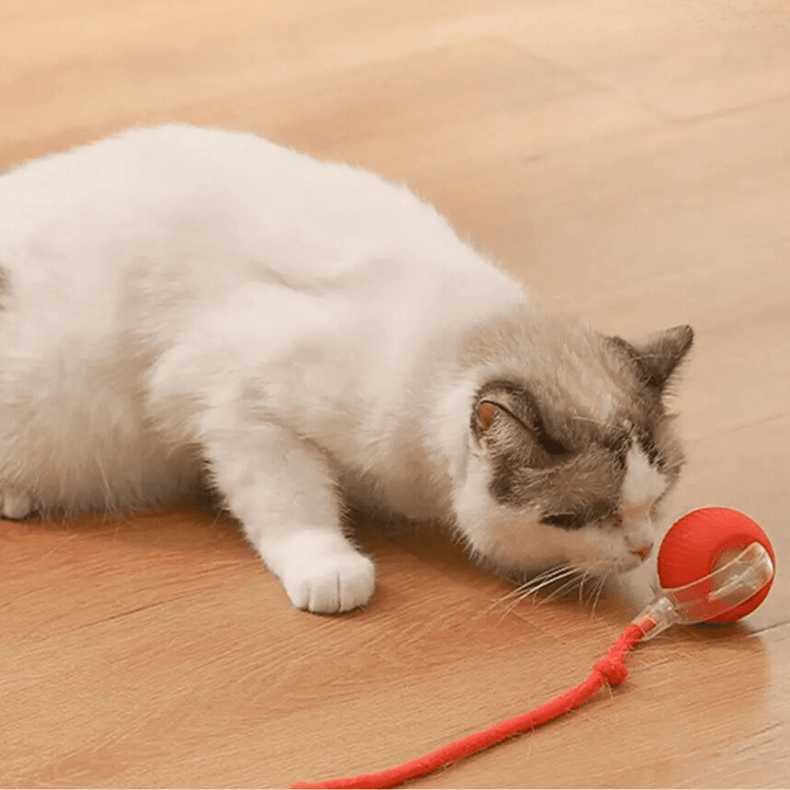 ChaseBall interactief jachtspeelgoed voor honden en katten - LED, USB
