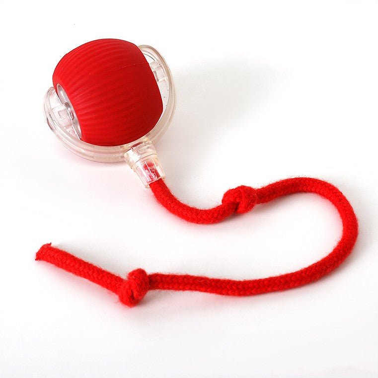 ChaseBall interactief jachtspeelgoed voor honden en katten - LED, USB