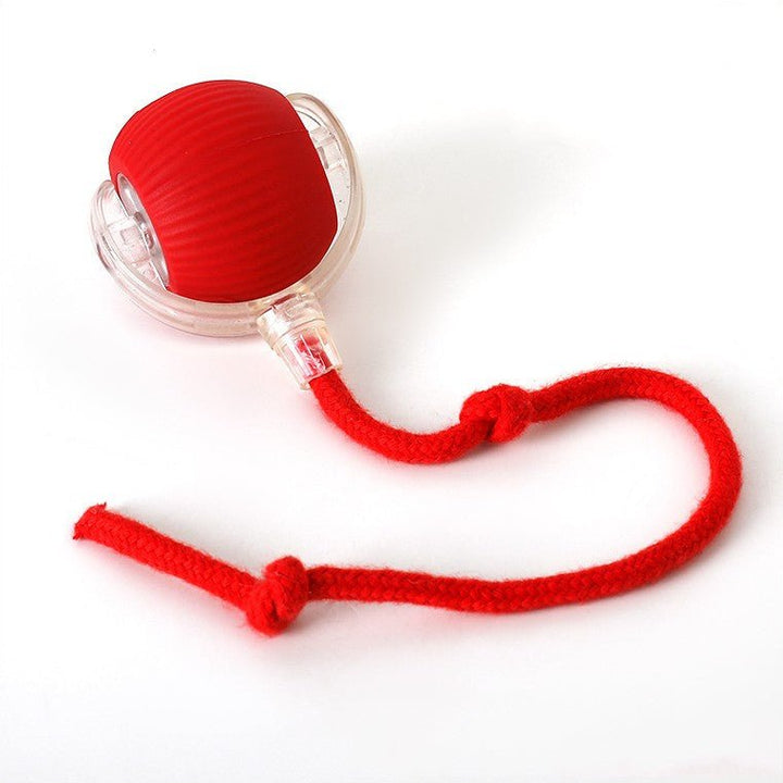 ChaseBall interactief jachtspeelgoed voor honden en katten - LED, USB