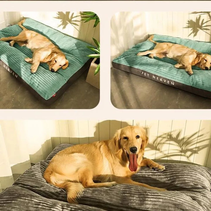 Orthopedisch Hondenkussen met Afneembare Hoes - SnuggleRest