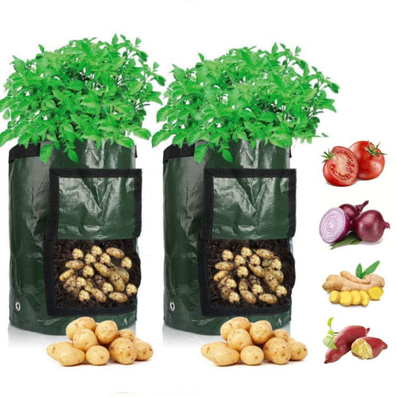 Aardappelen telen thuis: slimme aardappelplantzak voor terras en balkon