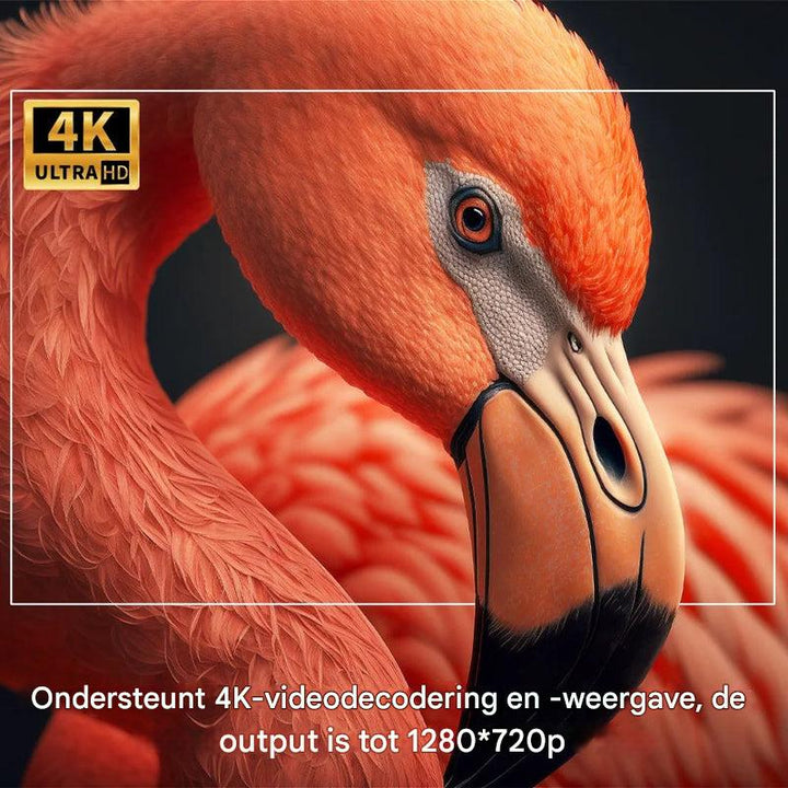 Draagbare buitenprojector