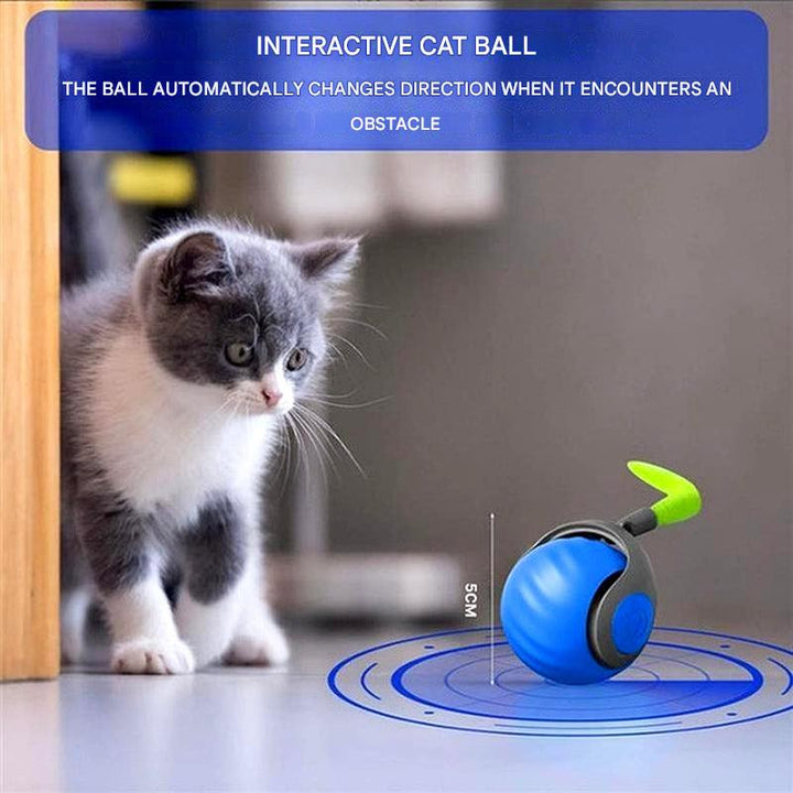 Interactief kattenbal-speelgoed - zelfbewegende rollende speelbol