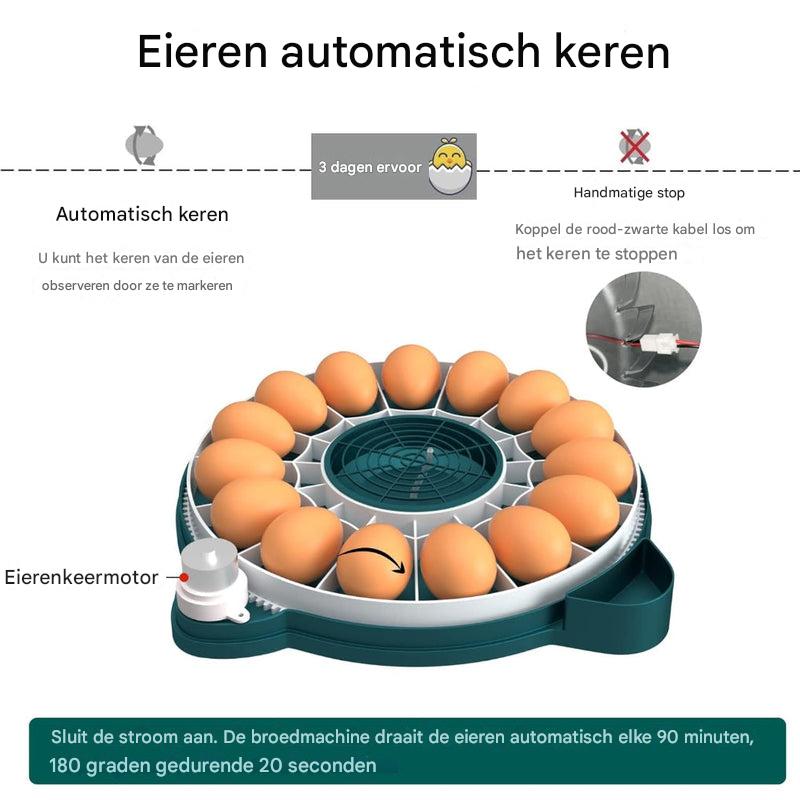 Broedmachine voor 15 eieren met automatische vochtigheidsregeling
