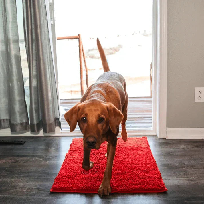 Super Absorberende Hondenmat – PawMat