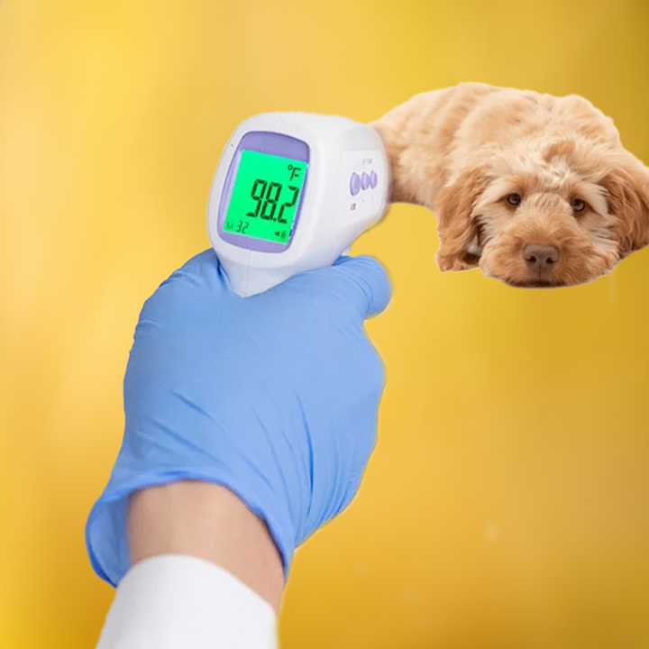 Contactloze Hondenthermometer met Meting per Klik