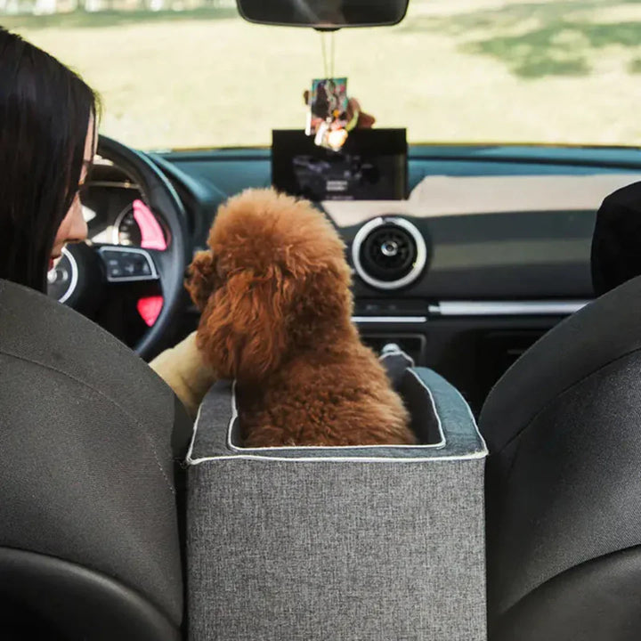 Carpoolzitje voor Huisdieren - PawVoyage