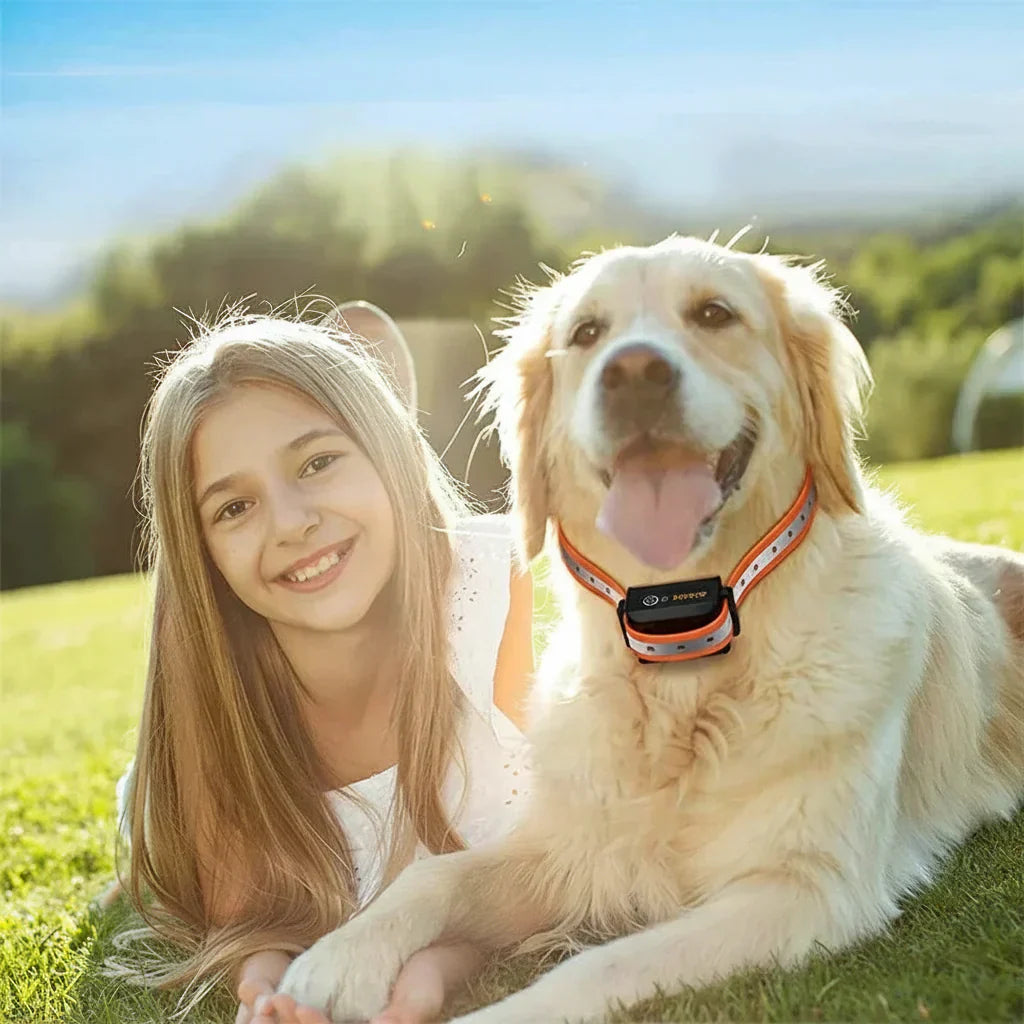 https://cdn.shopify.com/s/files/1/0659/5451/2986/files/zwarte-en-oranje-honden-trainingshalsband-met-afst-6.webp?v=1778815187